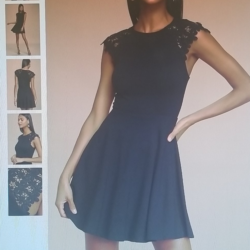 NWT Skater Dress
